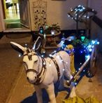 Mary Mcadam - Facebook