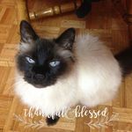 Mary McCarroll - @mary.mccarroll.315 - Instagram