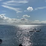 Marybeth McCarroll - @marybethmccarroll - Instagram
