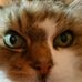 Mary McCausland - Facebook