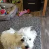 marymccaulleydudd - @mary.mc.caulley.d - TikTok