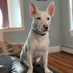 Mary Van Dyne-Mccrone - @mccronefam03 - Instagram