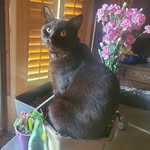 Mary McCutchen - @mommymommothermimi - Instagram