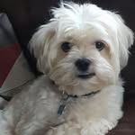 Mary McDaid - @mary.mcdaid.313 - Instagram