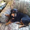 Mary McDaid - @mary.mcdaid - TikTok