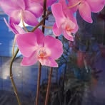 Mary McDuff - Facebook