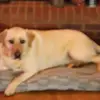 Mary Mcduffie - @mary.mcduffie1 - TikTok
