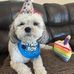 Mary Ellen McElligott - Facebook