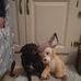Mary Mcelligott - Facebook