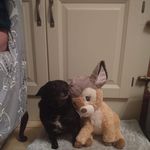 Mary Mcelligott - @mary.mcelligott.399 - Instagram