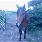 Mary Mcelwee - Facebook