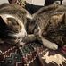 Mary Ellen McFee - Facebook