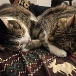 Mary Ellen McFee - @memcfee_ - Instagram