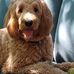Maryann McGeorge - Facebook