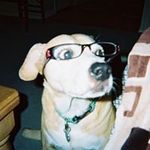 Mary Ann Mcgreal-tarnasky - @mcgrealtarnasky - Instagram