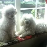 mary McInerney - @marymcinerney51 - Instagram