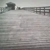 marymcmath639 - @marymcmath639 - TikTok
