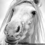 Mary-Ann McPeake - Facebook