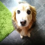 Mary Mcternan - @mcternanmary - Instagram