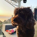 Mary McTernan - @hailmary1970 - Instagram