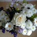 Mary Mctigue - @mctigue4964 - Instagram