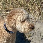 Mary McTigue Butler - @mbbutler115 - Instagram