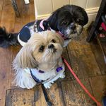 Mary Meldrum - @marymeldrum - Instagram