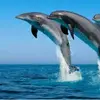 marymenacho286 - @marymenacho286 - TikTok