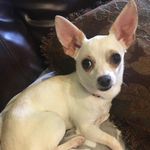 Mary Mengel - @mengelmary - Instagram