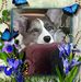 Mary Mengel - Facebook