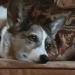 Mary Mengel - @mengelsm53 - Instagram