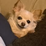 Mary Ann Moses-Merryfield - @mosesmerryfield - Instagram