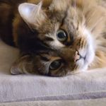 Mary Mesi - @mjmesi - Instagram