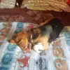 user2872035151397 - @marymesi70 - TikTok