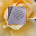 Mary Michell Lucas - Facebook