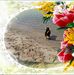 Mary Michener - Facebook