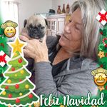 Mary Midkiff Bouwman - @marymidkiffbouwman - Instagram