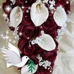 mary miggins - @mary.miggins - Instagram