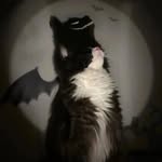 𝓜𝖺𝗿𝘆 (𝗠𝗶𝗸𝗲 𝘀'𝘃𝗲𝗿𝘀 ♡)ᶠᶸᶜᵏᵧₒᵤ! - @starsmike_ - Instagram