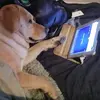 Maria Millward - @mary.millward - TikTok