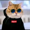 Mary Mingle - @marymingle2870 - TikTok