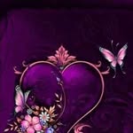 Ciccia Mary - @mary.mingozzi - Instagram