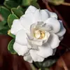 Mary Mingo - @mary.mingo - TikTok