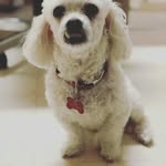 mary minyard - @maryminyard13 - Instagram