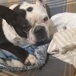 Mary Jo McCarthy Mitchum - @jojom66 - Instagram