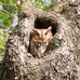 Mary Mitchum - Facebook