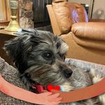 Connie Mares Moffitt - @mary.moffitt.1293 - Instagram