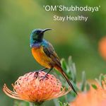 @_mary_mohan_44 - Instagram