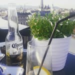 mary mohl - @mary_mole_lives_in_a_hole - Instagram