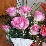Mary Moise - @moise6502 - Instagram